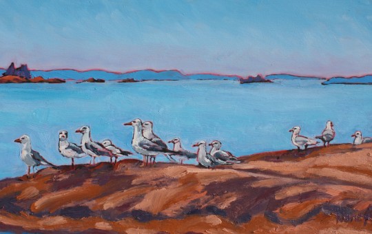 Seagulls on Georgian Bay