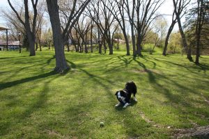 Chico at Conservation Park