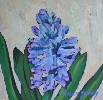 Hyacinth 1