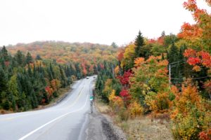 outside-algonquin-park-art-centre