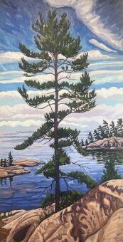 Summer White Pine 4